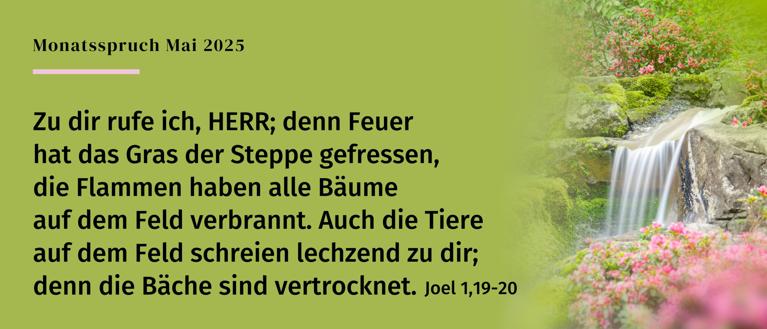 Monatsspruch-Mai-2025